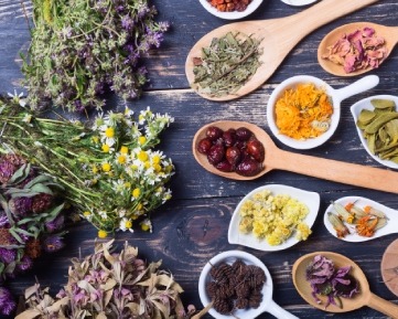 Mestrado em Dietética Herbal e Herbalismo